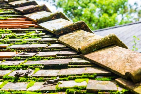 D&eacute;moussage de toiture &agrave; Nantes, pourquoi est-ce indispensable ?